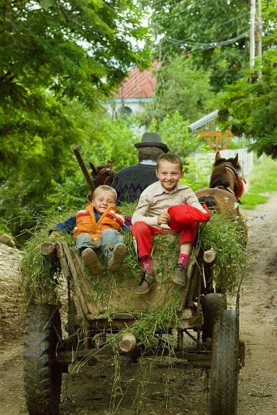 George Adrian Drăgoi - Ștrengarii.jpg